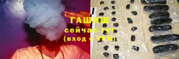 гашик Алексин
