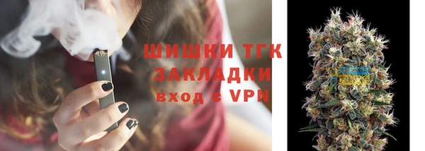 гашик Алексин