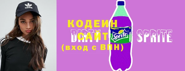 гашик Алексин