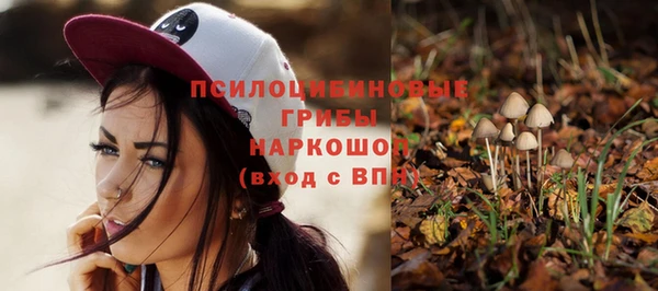 кокс Алзамай