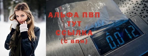гашик Алексин