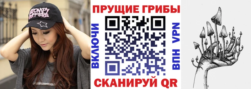 Купить где  Никольское  Галлюциногенные грибы мицелий 